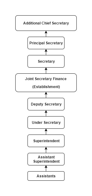 Finance Establishment  Organisation chart